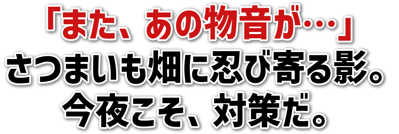 「また、あの物音が…」<br>さつまいも畑に忍び寄る影。<br>今夜こそ、対策だ。