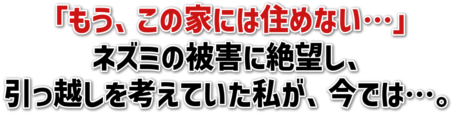 「もう、この家には住めない…」<br>ネズミの被害に絶望し、<br>引っ越しを考えていた私が、今では…。